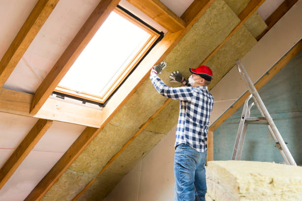 Professional Insulation Removal & Installation in Snowmass Village, CO